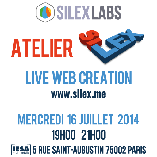 Atelier-Silex-Juillet-2014