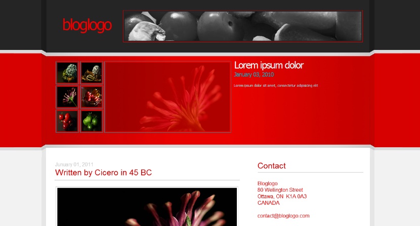 bloglogo_2