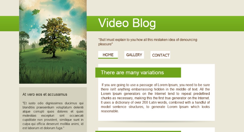 blogvideo