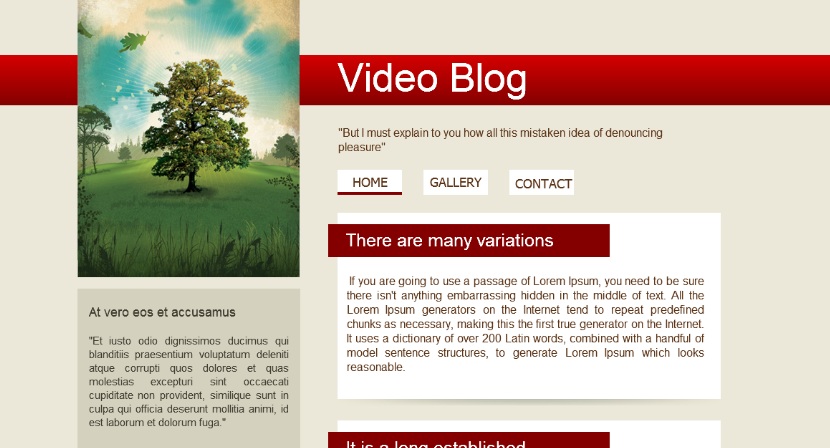 blogvideo_3